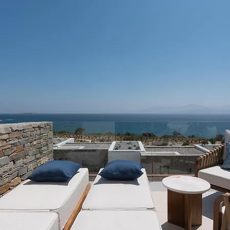 酒店 Vione Paros 5*