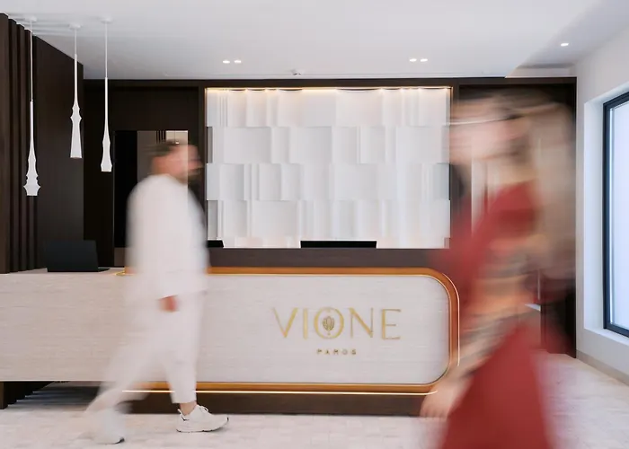 酒店 Vione Paros 安倍拉斯